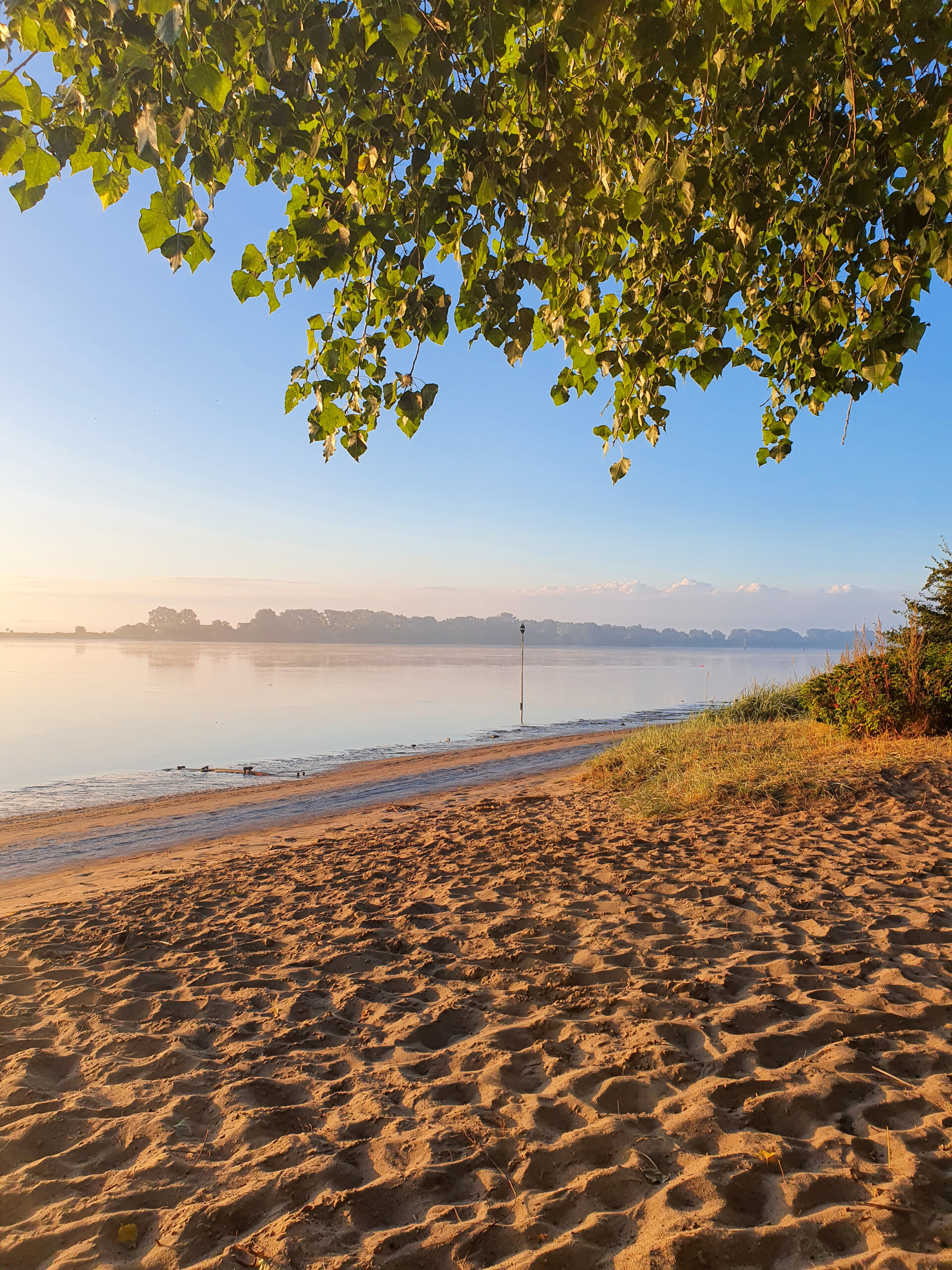 Wesermarsch Bild Ilona Hofrichter